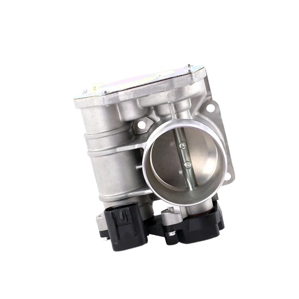 دریچه گاز برقی لیفان 820 با ایسیو دلفی - تصویر 2